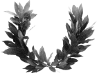 laurel wreath